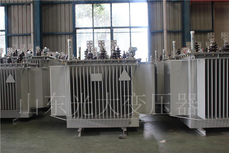 城关S20-500KVA/10KV